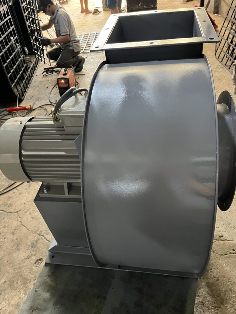 QLT 6P 4