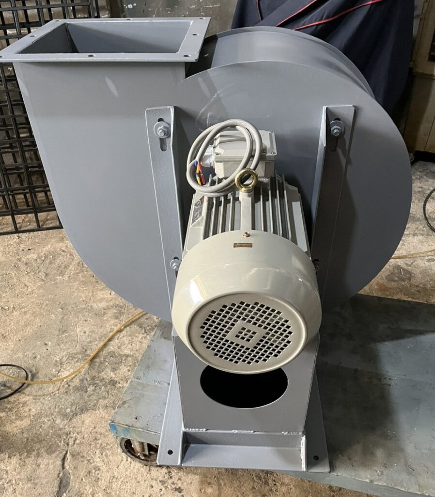 QLT 6P 5