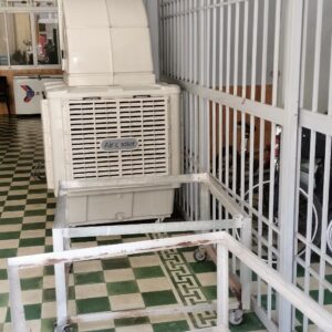 QUẠT HƠI NƯỚC CÔNG NGHIỆP KV18Y 9 QUẠT HƠI NƯỚC CÔNG NGHIỆP KV18Y - Image 3